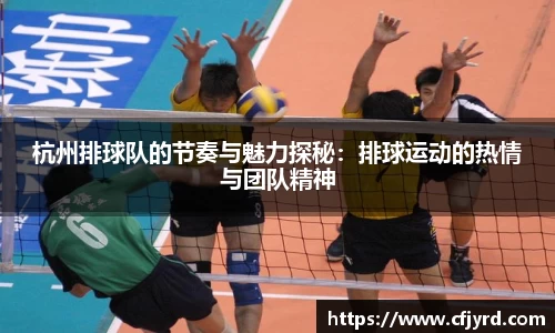 杭州排球队的节奏与魅力探秘：排球运动的热情与团队精神
